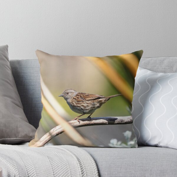 Item preview, Dunnock between branches designed and sold by GreyFeatherPhot.