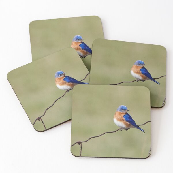 Item preview, Beautiful Eastern Bluebird designed and sold by BRENDA DOHERTY.