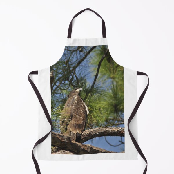 Item preview, Bald Eagle Fledgling, As Is designed and sold by Kim McClain Gregal.