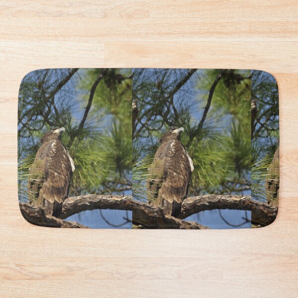 Item preview, Bald Eagle Fledgling, As Is designed and sold by Kim McClain Gregal.