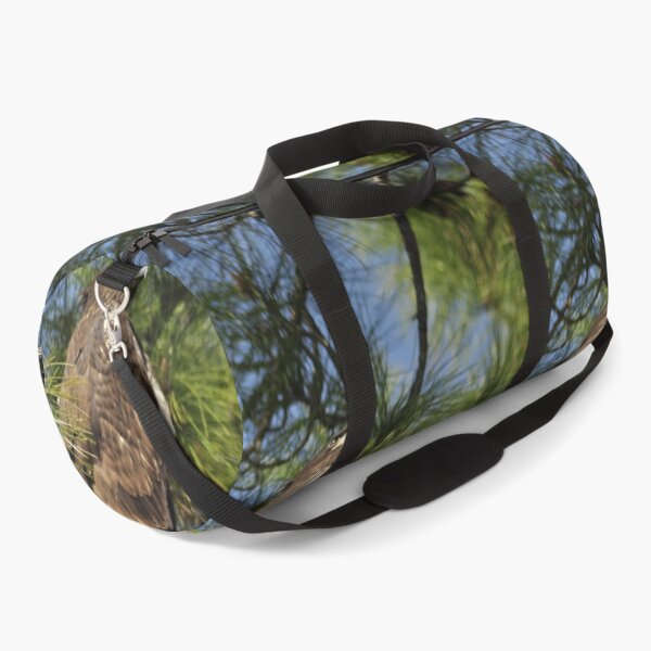 Item preview, Bald Eagle Fledgling, As Is designed and sold by Kim McClain Gregal.
