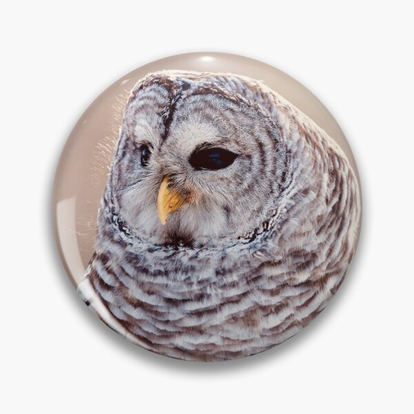 Item preview, Barred Owl designed and sold by BRENDA DOHERTY.