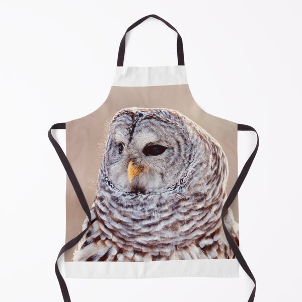 Item preview, Barred Owl designed and sold by BRENDA DOHERTY.