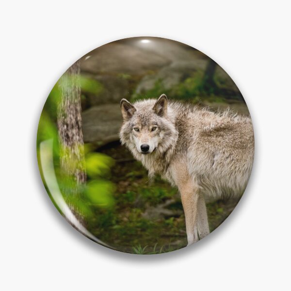 Item preview, Timber Wolf designed and sold by WolvesOnly.