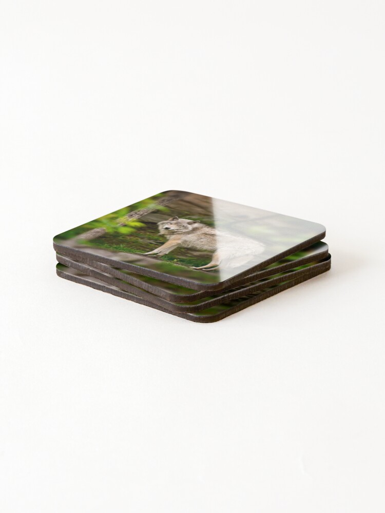 Thumbnail 4 of 5, Coasters (Set of 4), Timber Wolf designed and sold by WolvesOnly.