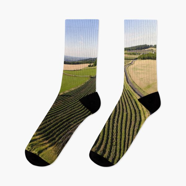 Item preview, Lavender Harvesting designed and sold by ScenicViewPics.