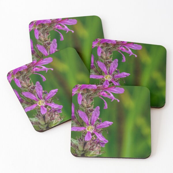 Item preview, Flowers designed and sold by inmotionpicture.