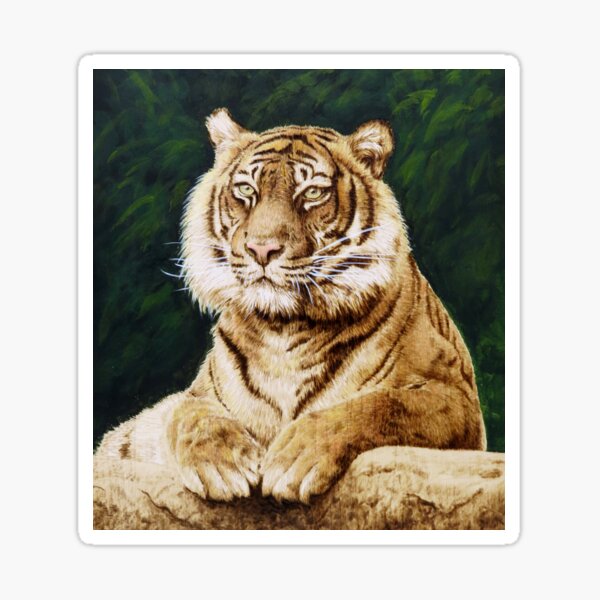 Tiger woodburning by Minisa Robinson Sticker