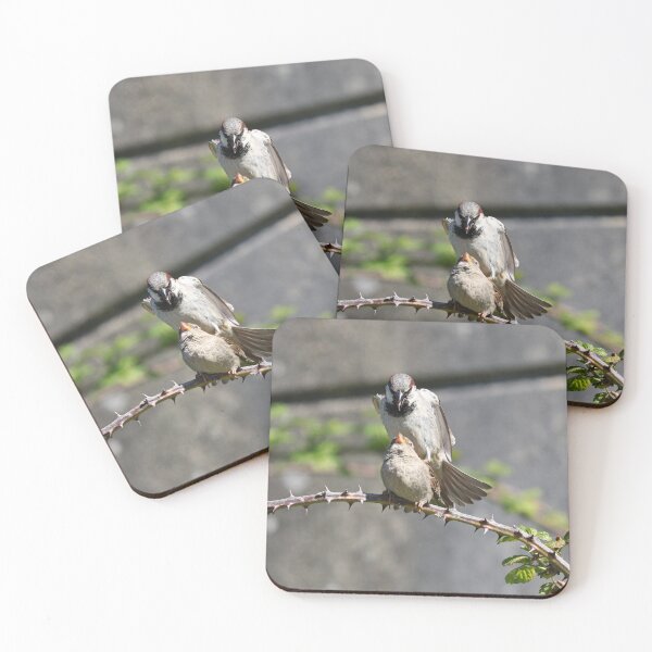 Item preview, Mating sparrows designed and sold by GreyFeatherPhot.