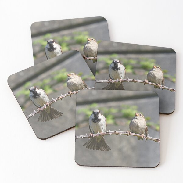 Item preview, Male & female house sparrows designed and sold by GreyFeatherPhot.