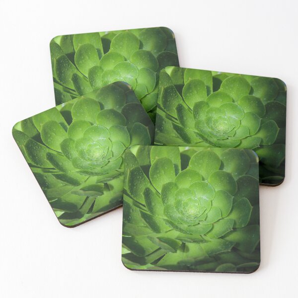 Item preview, Vintage Botanical Lotus Cactus Wild Flower designed and sold by Marguerite Faure.