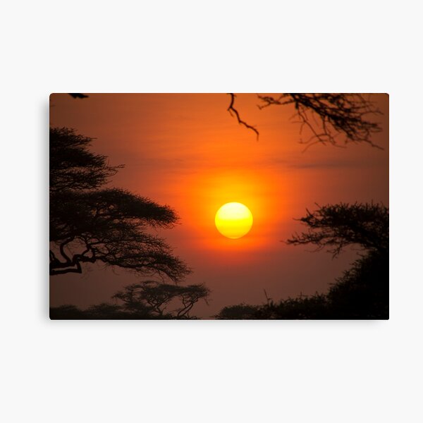 Item preview, Serengeti Sunrise designed and sold by Philip Alexander.