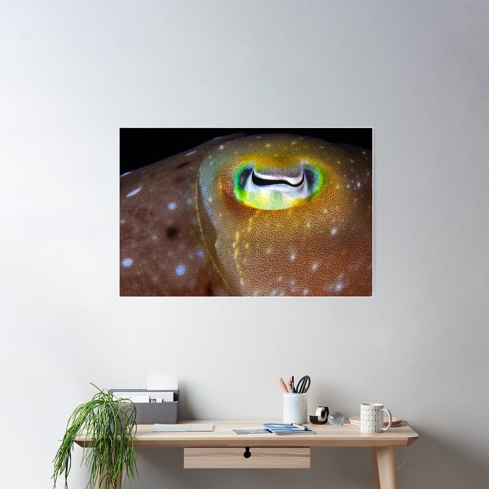 Goldeneye Poster