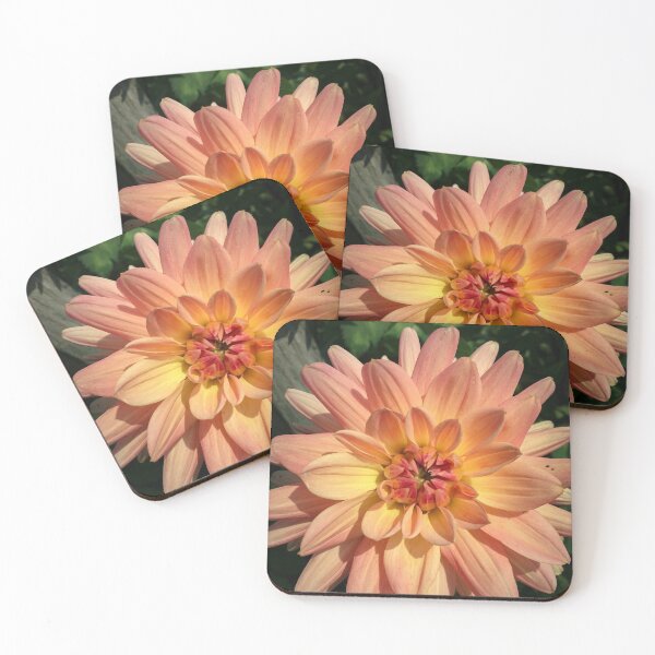 Item preview, Dahlia Nicholas Flower Blossom - Pink Honeysuckle, Pink Rhubarb, Custard Yellow, Pear Drop Color 010 designed and sold by Bees-n-Flowers.