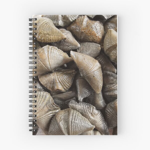 Item preview, Geology Masks Fossils Paleontology Science Brachiopod designed and sold by PaleoArtistry.