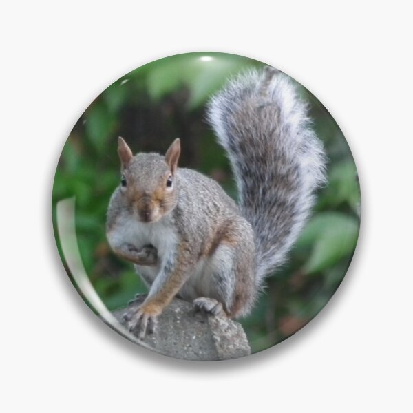 Item preview, Squirrel! designed and sold by TLBcanvasART.