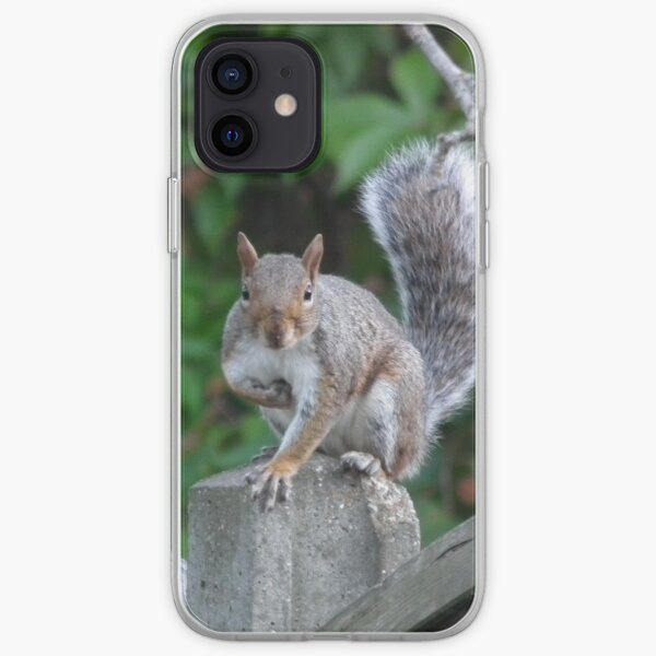 Squirrel! iPhone Soft Case