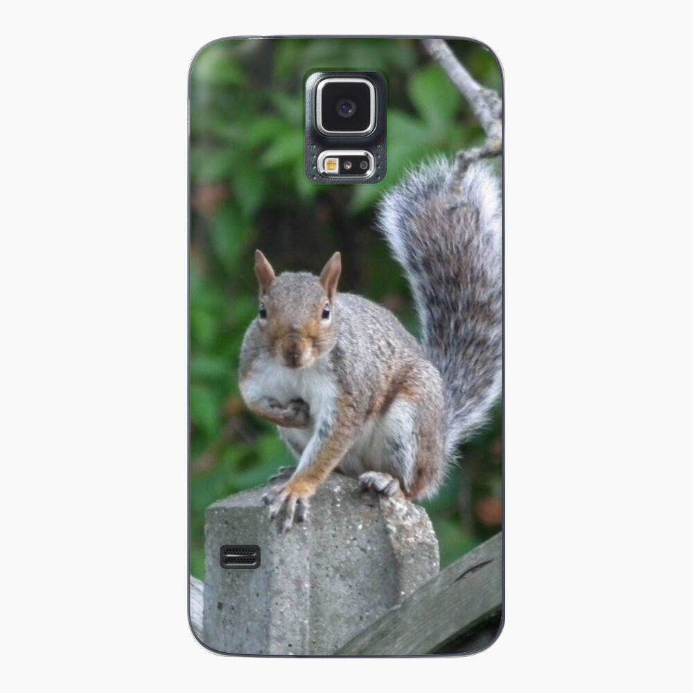 Squirrel! Case & Skin for Samsung Galaxy