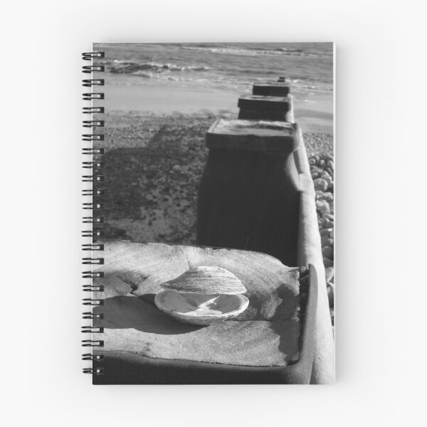 Item preview, Bexhill, Empty Shell designed and sold by TLBcanvasART.