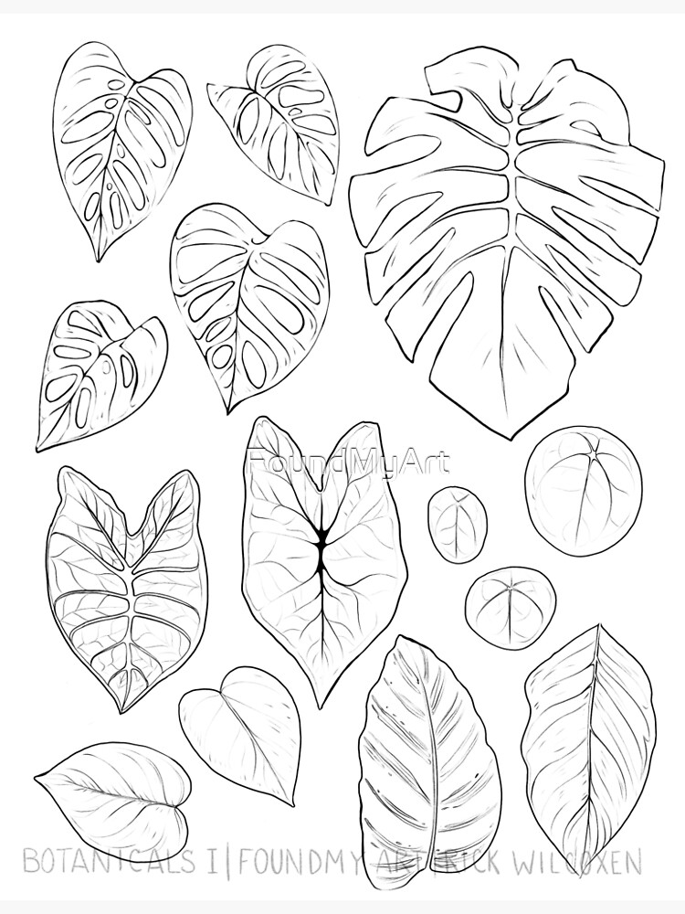 Name Artemisia Stock Illustrations – 10 Name Artemisia Stock Illustrations,  Vectors & Clipart - Dreamstime