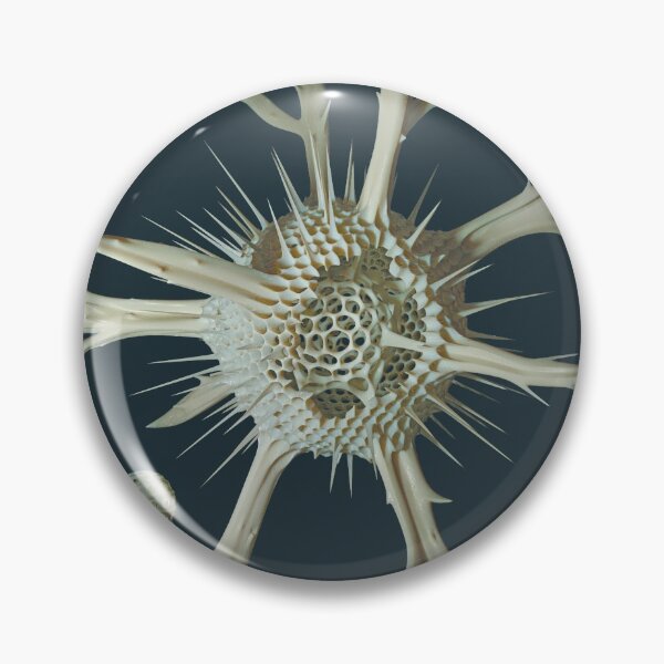 Item preview, Radiolaria & Foraminifera designed and sold by Ldarro.