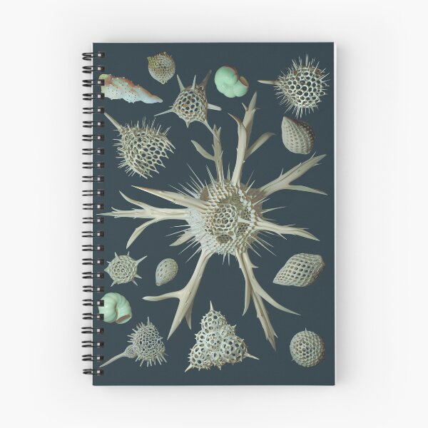 Item preview, Radiolaria & Foraminifera designed and sold by Ldarro.