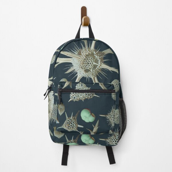 Item preview, Radiolaria & Foraminifera designed and sold by Ldarro.