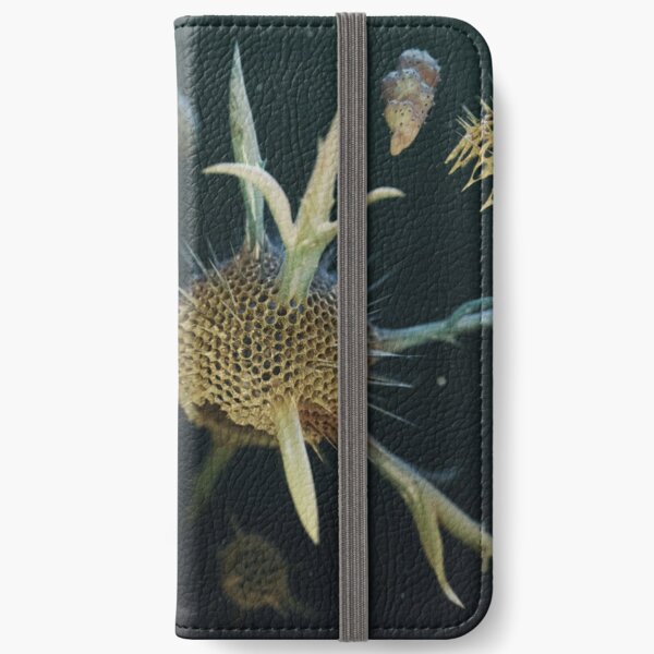 Radiolaria et Foraminifera 2019 edition iPhone Wallet