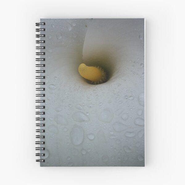 Aperçu de l'œuvre Lily Calla Blanche créée et vendue par TLBcanvasART.