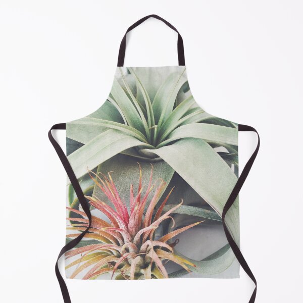 Item preview, Air Plant Collection III designed and sold by Cassia Beck.