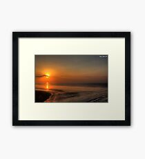 Wetlands Framed Print