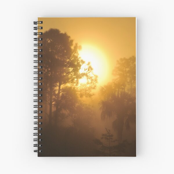 Item preview, Monument Lake Sunrise, As Is designed and sold by Kim McClain Gregal.