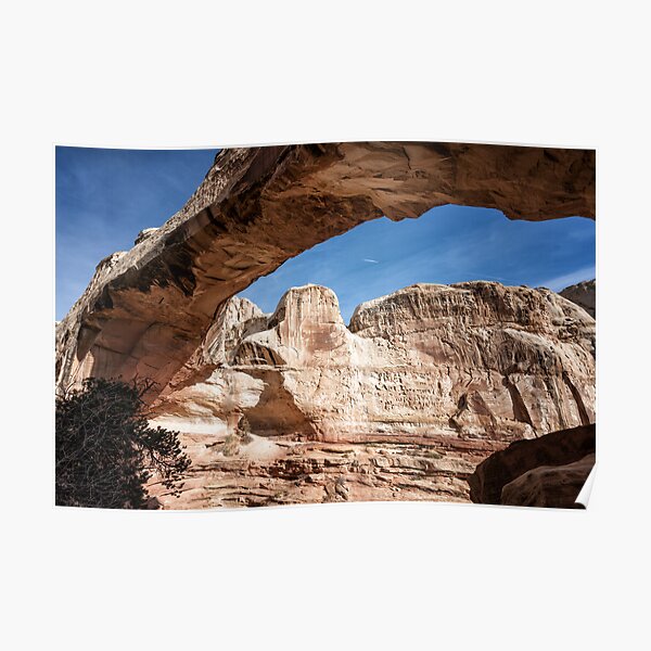 Arched Poster