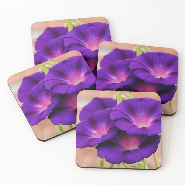 Item preview, Beautiful Morning Glory Flowers designed and sold by BRENDA DOHERTY.