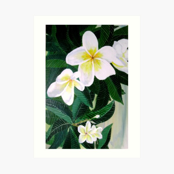 Frangipanni Art Print