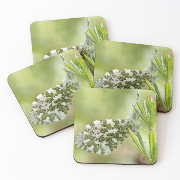 Item preview, Green-veined White Butterfly designed and sold by HollyRuthven.
