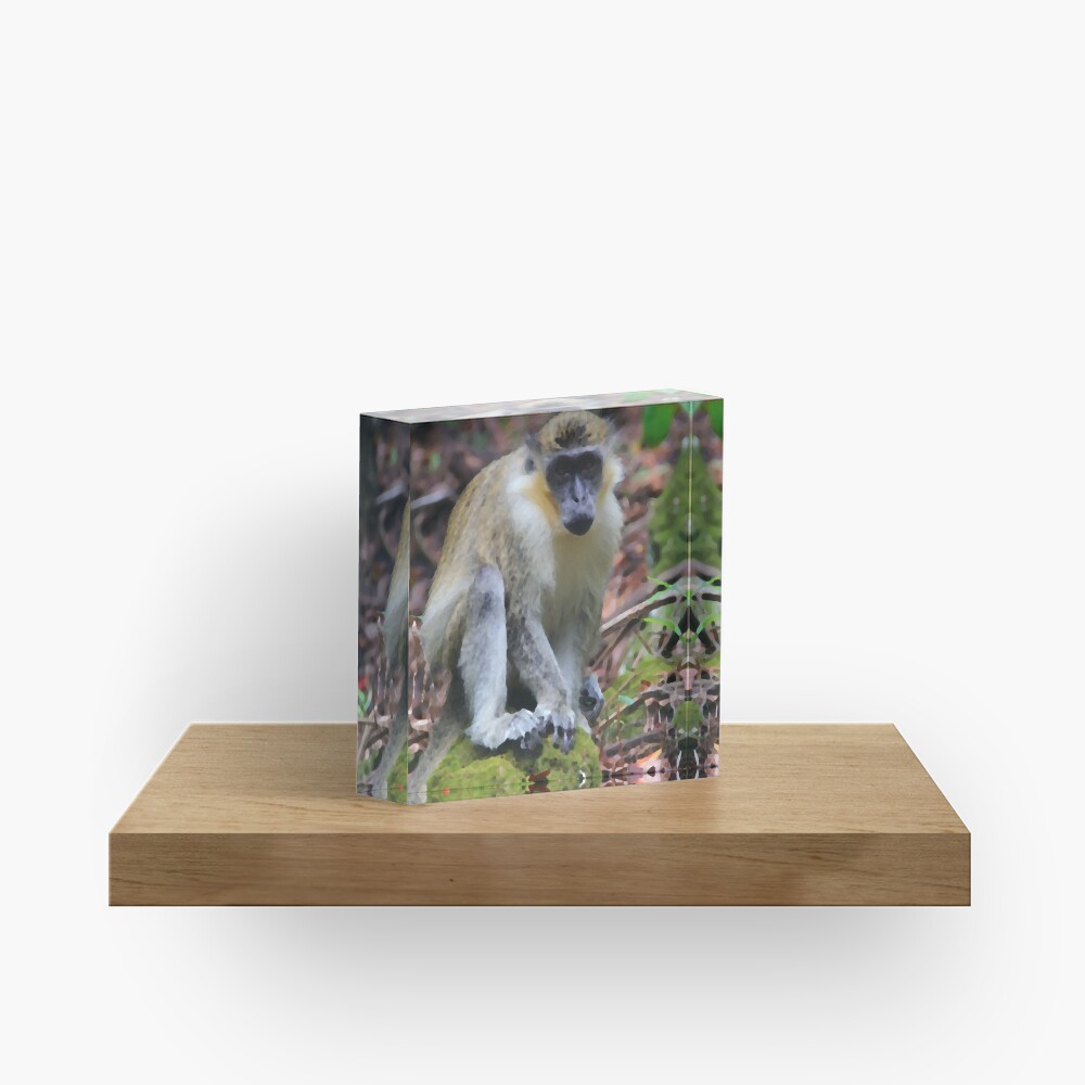 Item preview, Acrylic Block designed and sold by OurBarbados.
