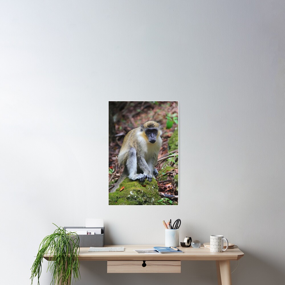 Item preview, Poster designed and sold by OurBarbados.