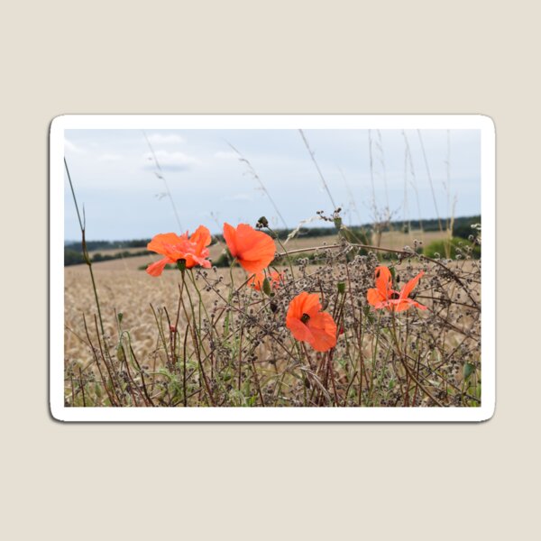 Aperçu de l'œuvre La campagne créée et vendue par TLBcanvasART.
