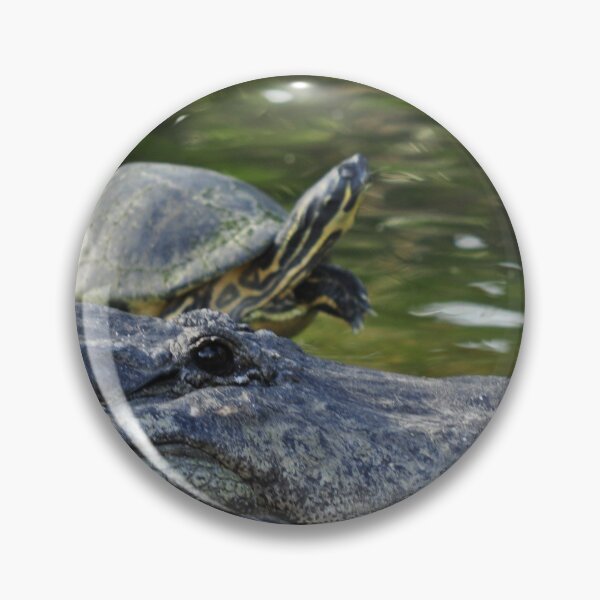 Item preview, Alligator and Turtle, As Is designed and sold by Kim McClain Gregal.