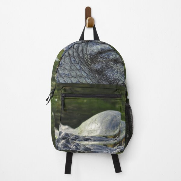Item preview, Alligator and Turtle, As Is designed and sold by Kim McClain Gregal.