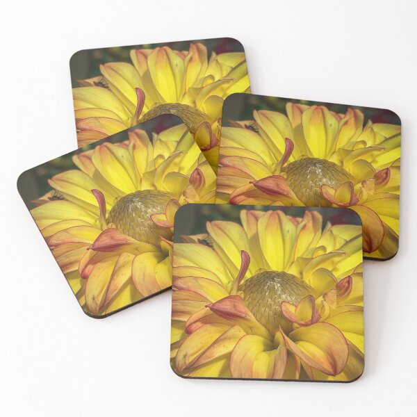 Item preview, Golden Yellow Dahlia Dazzling Magic Flower Blossoming 016 designed and sold by Bees-n-Flowers.
