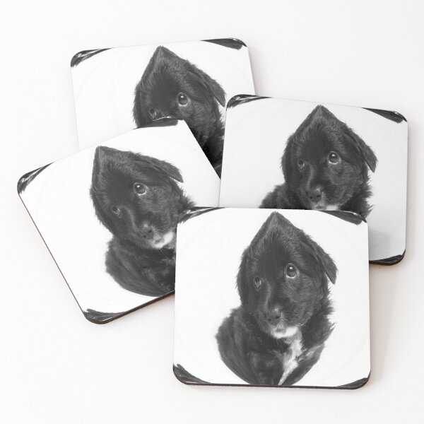 Item preview, BLACK WHITE PUPPY  designed and sold by Sanny88.
