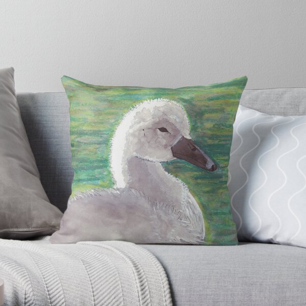 Throw Pillow