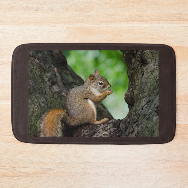 Item preview, American Red Squirrel in the crook of a tree designed and sold by rodmacpherson.