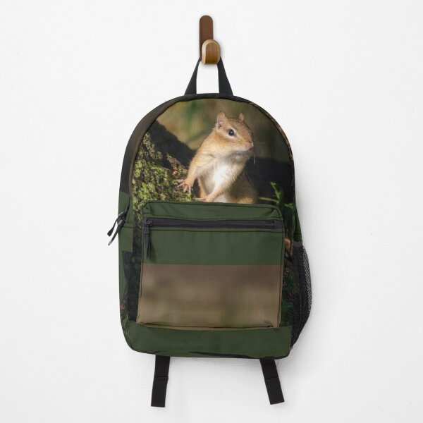 Item preview, Eastern Chipmunk in evening light at the base of a tree designed and sold by rodmacpherson.