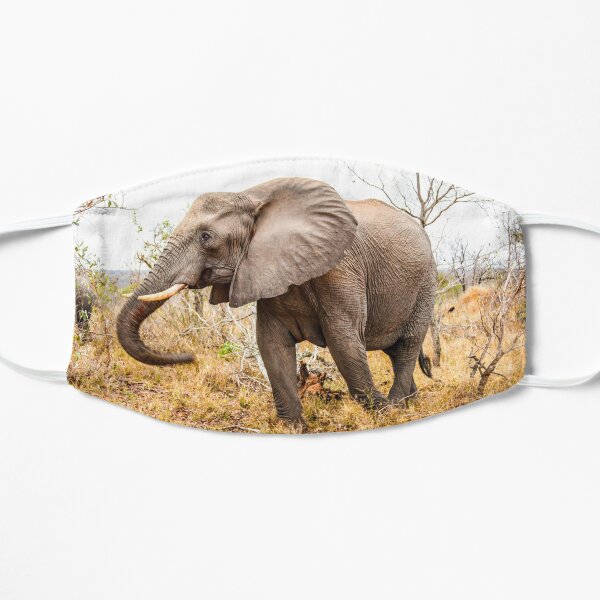 Elephant Mask
