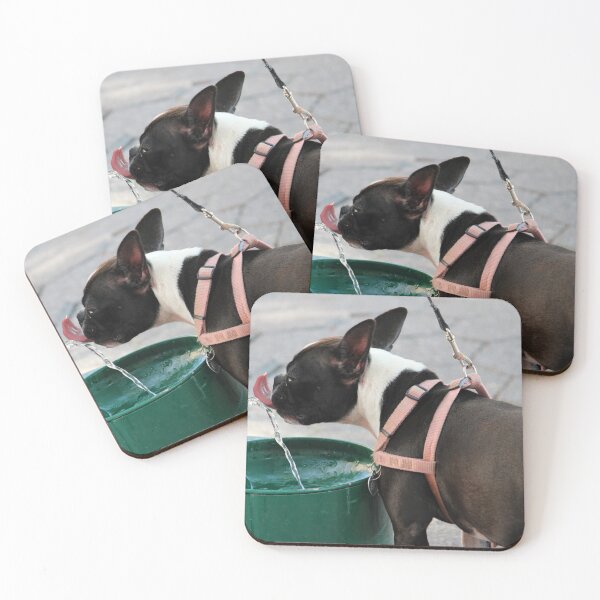 Item preview, Thirsty Dog designed and sold by Cynthia48.