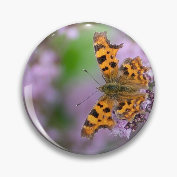 Comma Butterfly Pin