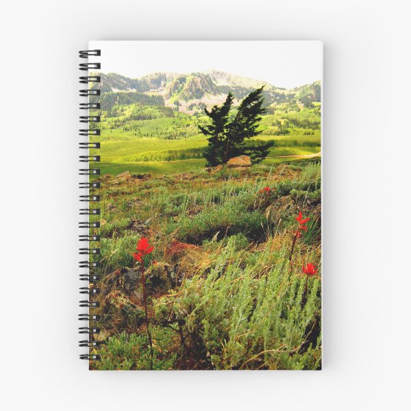 Item preview, A View of the Wasatch Mountains, Utah. designed and sold by JoAnn Glennie.